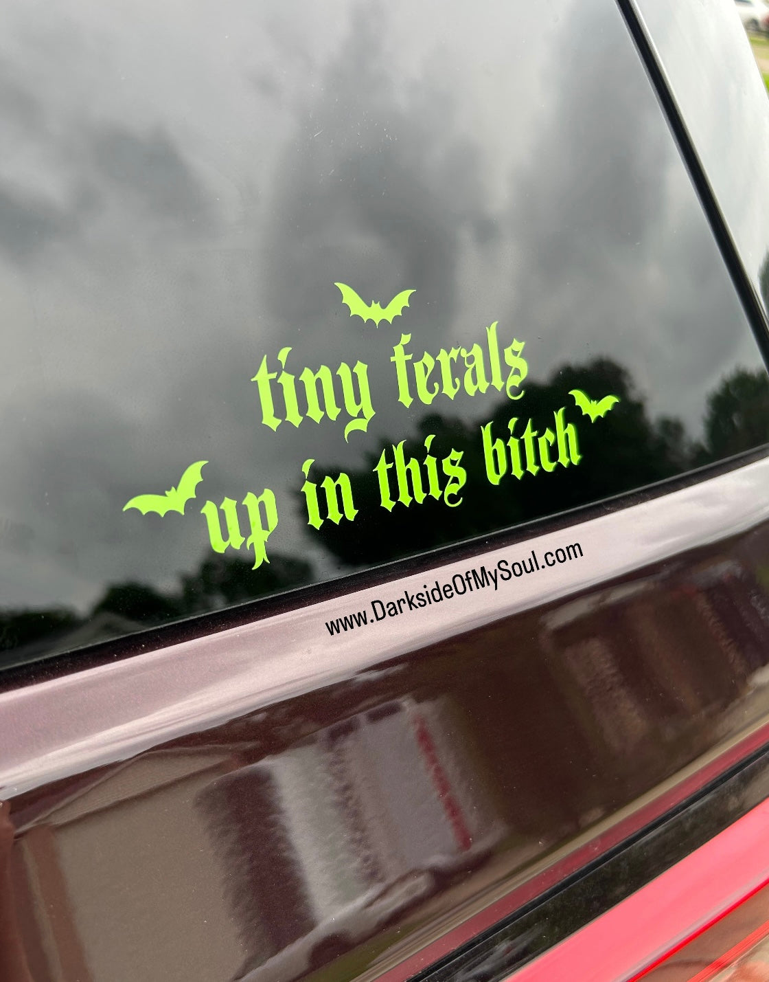 Tiny Ferals Up In This Bitch Decal