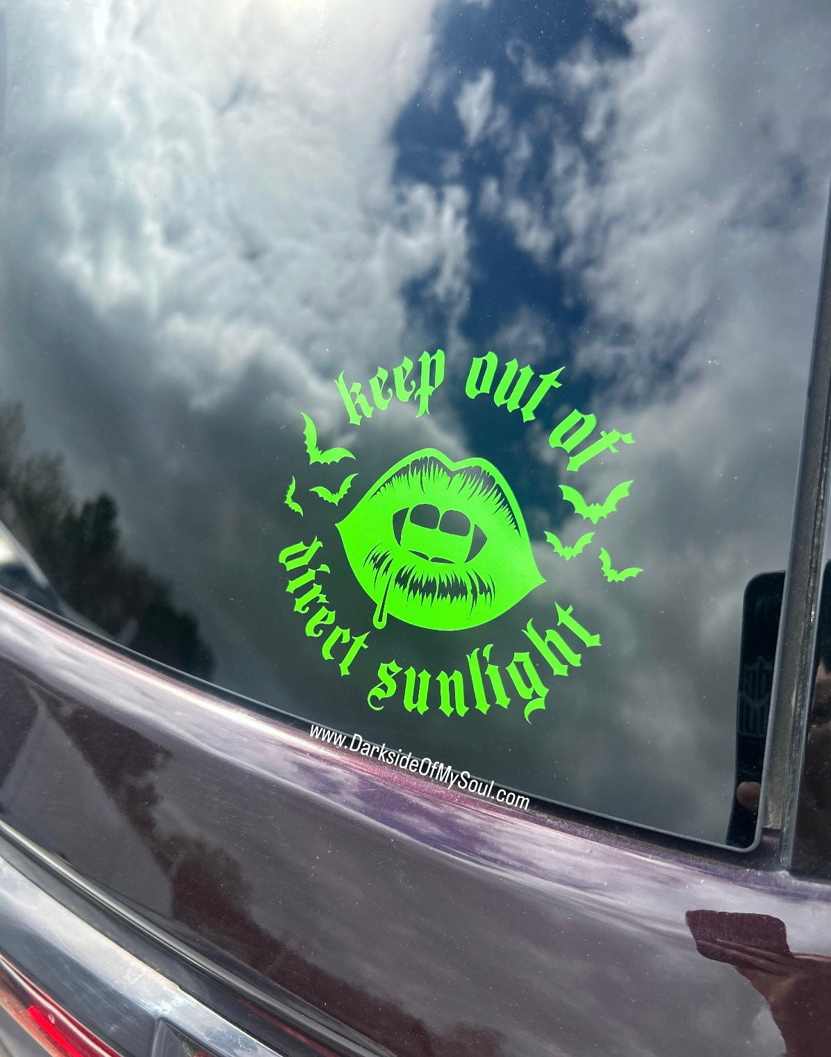 Keep Out Of Direct Sunlight Decal