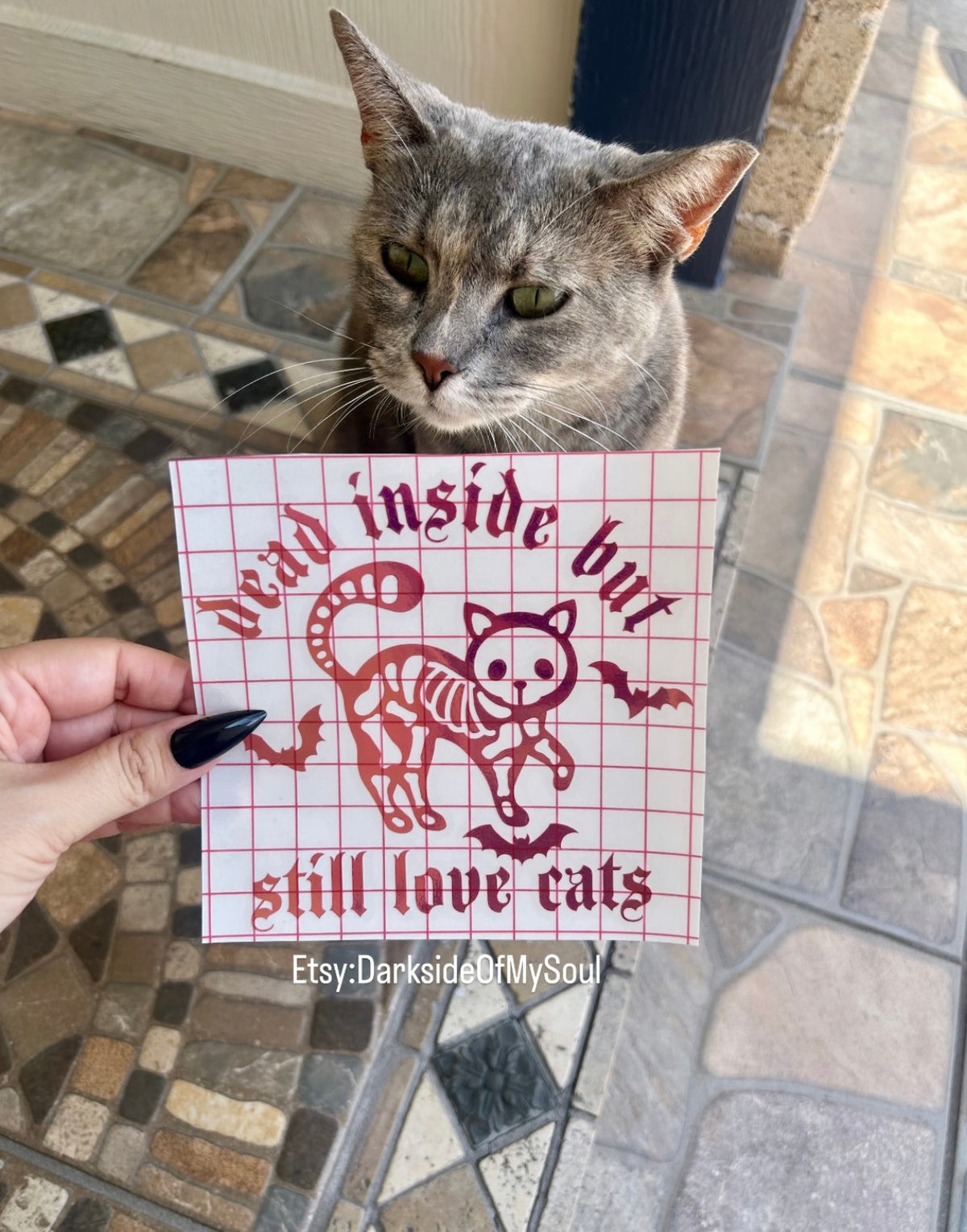 Dead Inside But Still Love Cats Decal