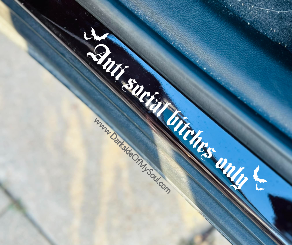 Anti Social Bitches Only Decal