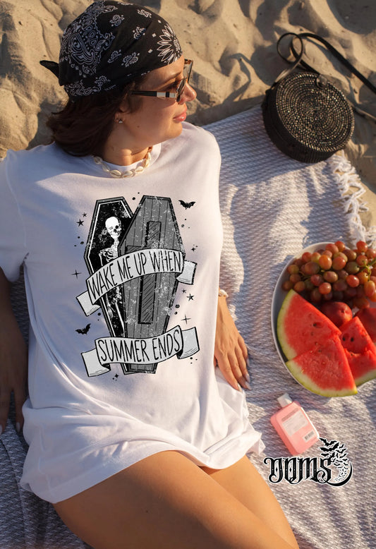 Wake Me Up When Summer Ends