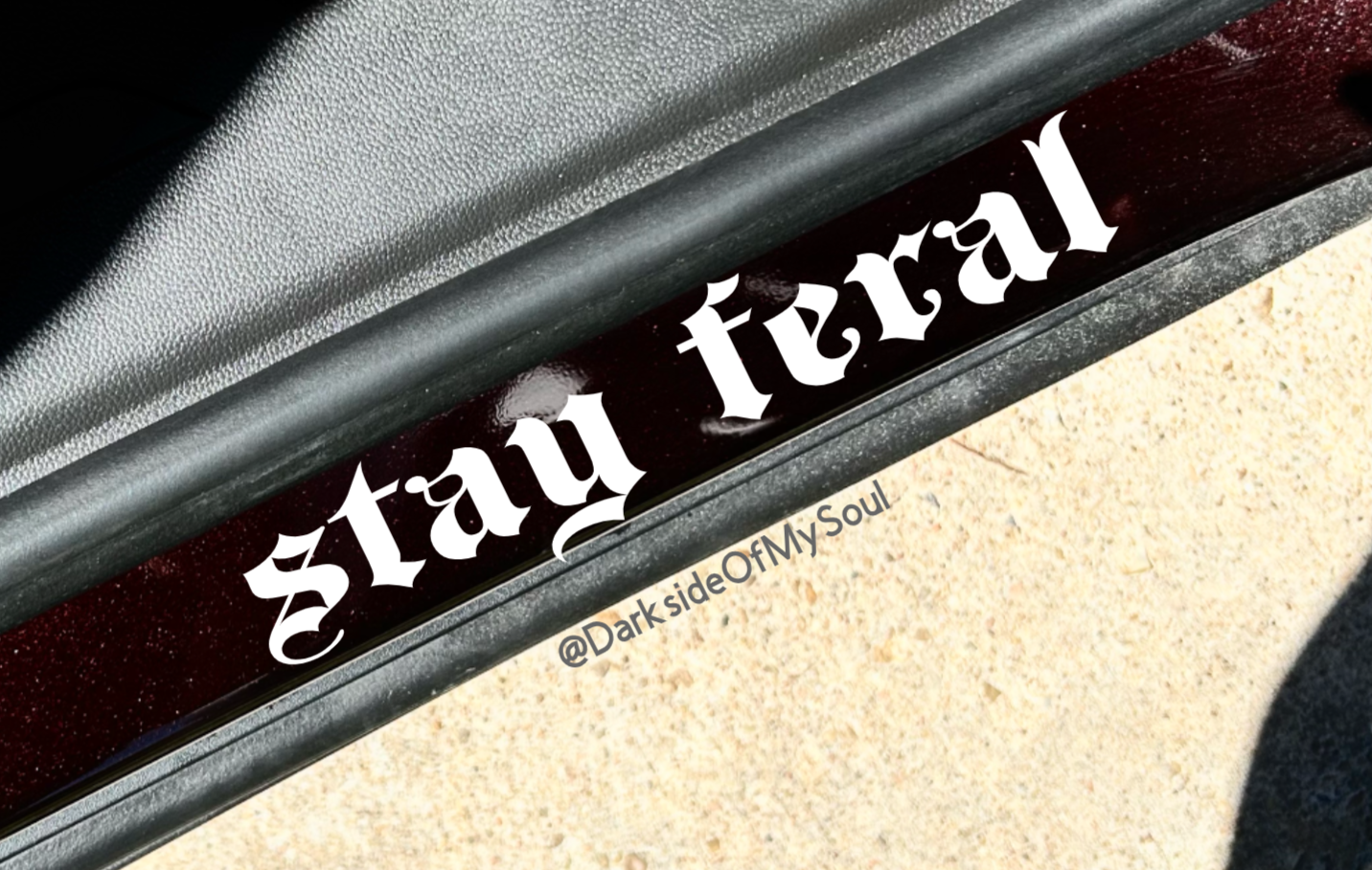 Stay Feral Decal