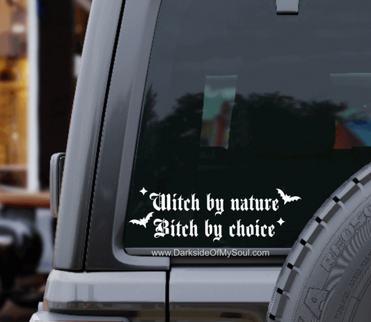 Witch By Nature Bitch By Choice Decal